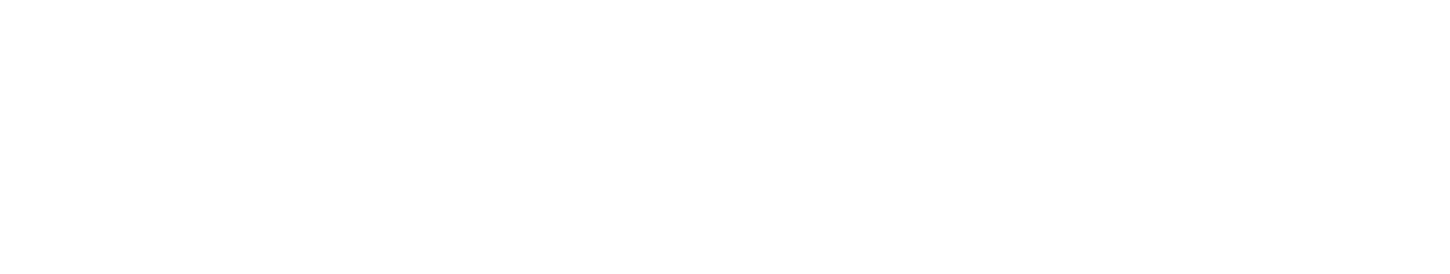 Jaguar Travel